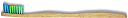 Babu_150318_010_2048px-1024x137-1.png