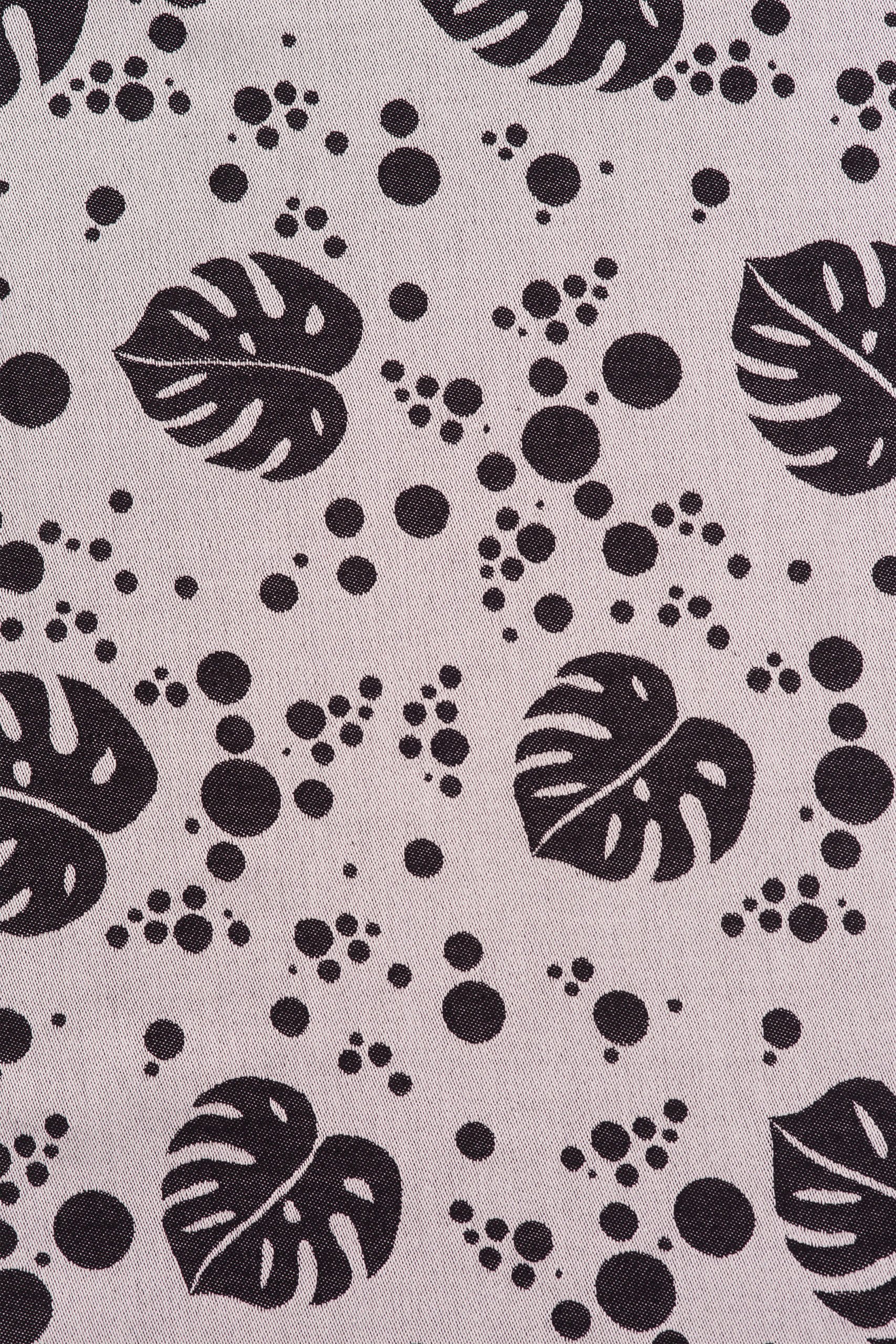 Philodendra-Silver-Gray-Design.jpg